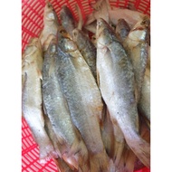 *Muslim Produk* Ikan Belanak