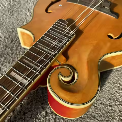 I777 Mandolin Guitar Solid Wood D'Angelico 8-String Electro-Acoustic Taiwan-Made Minor Flaw