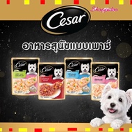 (16 Packs)​ Cesar Envelope Dog Food​ Sachet Type 60-70g.(Caesar Wet Food Pouch)