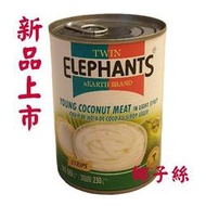 泰國 雙象地球 嫩椰子肉絲(565ml/罐) ─ 942