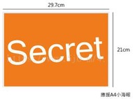 Secret 全烋星 宋枝恩 鄭河娜 韓善伙 海報 / 海報訂製