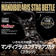 Reference Number Warehouse March-April Bandai Box Toy Biological Illustrated Book PREMIUM Giant-Jaw 