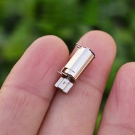 2PCS 6mm 612 Electric DC Mini Vibrator DC 3V VR Massager Toothbrush Motor Waterproof Vibration Motor