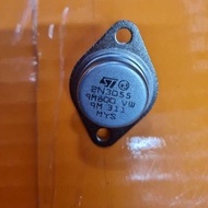 Malay oyster 3N3055 (2 pieces)