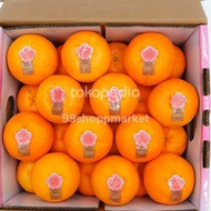 Jeruk Mandarin Japan Sakura Mikan 1 Kg
