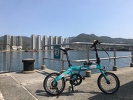 摺疊單車 Trinx wildwolf 2.0