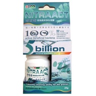 [HAPPY Aquarium] AZOO AZOO Extremely Concentrated Strongest Bed Purification Live Bacteria 25g Anaer