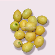Jeruk Lemon Lokal Fresh 1Kg