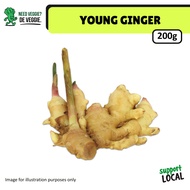 [De Veggie] Young Ginger 生姜 200g±