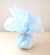 不織布簡易包裝