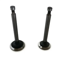 SET OF INTAKE EXHAUST VALVE FOR HONDA GX390 188F GX420 190F 192F 390CC 420CC 13HP 16HP WATER PUMP 5K