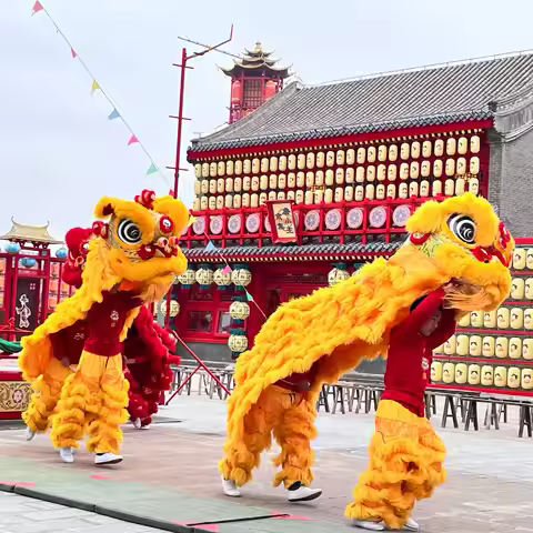 2Kids Lion Dance Costume 2 pants 10-15 Age Children Student Play Game Party Halloween Sport Parade F