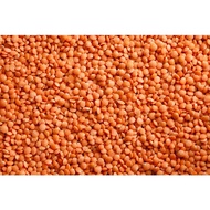 MYSORE DHALL / KACANG DHALL MERAH