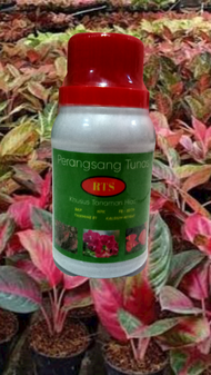 Perangsang Tunas untuk semua tanaman hias