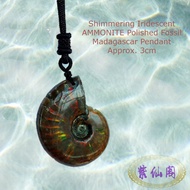 Iridescent AMMONITE SHELL Fossil Madagascar Pendant approx.3-4cm, 5-6cm & Earrings 2.5-3cm