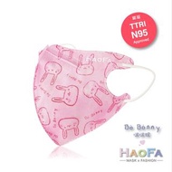 Haofa N95 台灣國家隊 3D 氣密型立體口罩