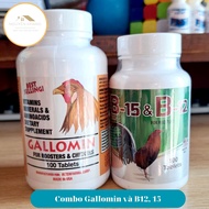 Gallomin B12 & B15 thuốc gà đá tăng bo tăng cơ nhanh cho gà chọi gà đá gà tre hủ 100 viên
