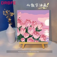 DROFE Painting by Number Classical Number Painting Handicraft Flower Picture Coloring Home Decor Acrylic Paints Adult Paint Kit 20x20cm with frame