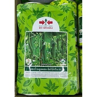 🔥Top Sales🔥Benih Timun Seeds 100gm Panah Merah original from Thailand