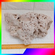 Big Coral Stone For Aquarium Filter Media Batu Karang Besar  Fish Tank Sea Coral Bone Batu Karang Hi