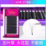Five-leaf Clover Eyelashes 5D Grafted Eyelash Upgrade YY Clover Four-leaf Clover Eyelash Extensions