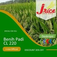 Benih Padi Cl220 5Kg Bibit Padi Unggul Cl 220 Murah