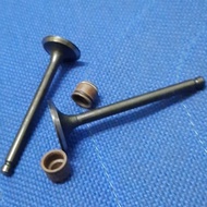 Demak EX90 / AVETA DY90 - Valve Set (EX + INT) + Valve Seal Set