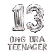 13th Teenager Birthday Party Decorations 13th Birthday Decorations OMG Ur A Teenager Balloon Birthda