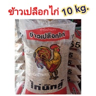 ข้าวเปลือกไก่ชน ข้าวเปลือกไก่ 10kg