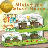 Miniature Glass House Toys Plants Vegetables Fruit Glass House Children's Education Science Experime