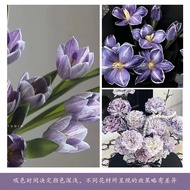 Absorbing Agent, Color Dyeing Research Color, Special for Florists, Environmentally Friendly, Does N