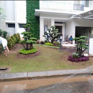 Taman Bonsai + Tanaman Kecil Hias