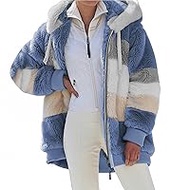Women's Winter Hoodie, Warm, Plush Coat with Zip Pocket, Loose Coat, Women's Clothing, Teddy Fleece Jacket, Long Sleeve Winter Coat, Outwear, Steetwear
