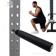 Single Leg Roller Squat Attachment 1" Hole Squat Rack Power Cage Crossfit Rig Bulgarian Split Glutes