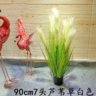 XYHorticulture Artificial Reed Grass Dog Tail Flower Pool Set Ornamental Flower Fake Flower Grass Grass Rice Wheat Bonsa