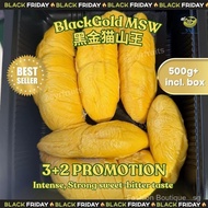 Pahang Black Gold MSW Durian (500g/Box) [SAME-DAY Delivery]