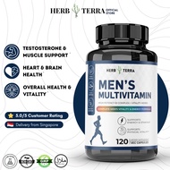 Herb Terra Men’s Multivitamin, Supplement Capsule with Vitamin B,C,D,E and Folate for Immune Health 