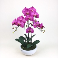 กระถางกล้วยไม้ประดิษฐ์ ดอกไม้ปลอมพร้อมกระถาง Artificial orchid arrangement with pot