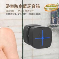 【樂淘】浴室防水音響洗澡家用可攜式迷你小音箱吸盤播放器低音炮鋼炮