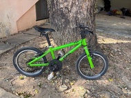 Frog Bike 16”