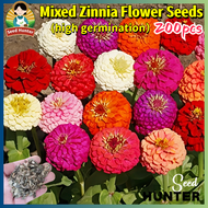งอกง่าย เมล็ดพันธุ์ดอกบานชื่น กลีบซ้อน คละสี (บรรจุ 200 เมล็ด) Zinnia Elegans Seeds Mixed Colors Zin