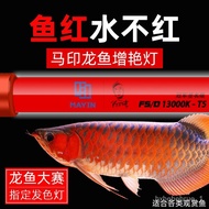 🚓Fish Tank Light in Tricolor WaterLEDSolid Color Diving Horse Yinshen Arowana Fish Tank Snorkel Red Scleropages Light