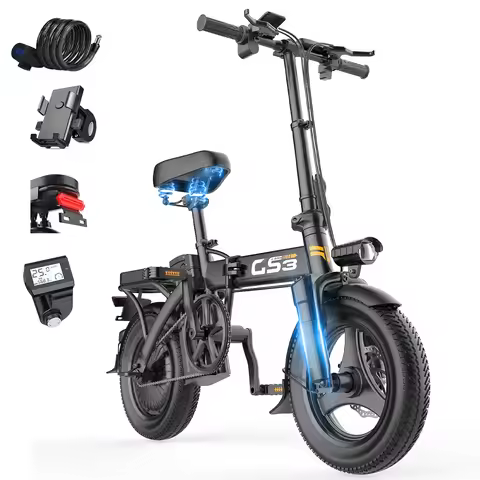 TOOFLY GS3 Folding Electric Bicycle 250W Motor 48V15AH Removeable Lithium Battery Adult Electric Bik