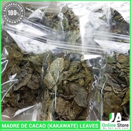 Dried Madre De Cacao (KAKAWATE) Leaves (50 grams) Anti-Flea, Anti-Mange, Tick and Anti-Bacterial