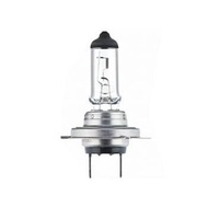 Hella H7 Halogen Light Bulb 12V 100W Original Hella Official Guaranteed