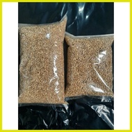 ✎ ☾ ✹ 1kg cat grass seeds (mix barley oat wheat seeds)