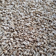 Biji Kopi Robusta jawa mentah  1 kg ( sudah terkupas dari cangkangnya )
