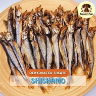 Munchies 4 Paws Dehydrated Pet Treats - Shishamo