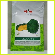 ♞EASTWEST SQUASH BELLA F1 ASENSO PACK BY EAST WEST SEEDS
