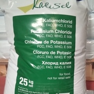 Potassium Cloride /KCl Food Grade Jerman